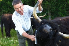Portrait Rinderzüchter